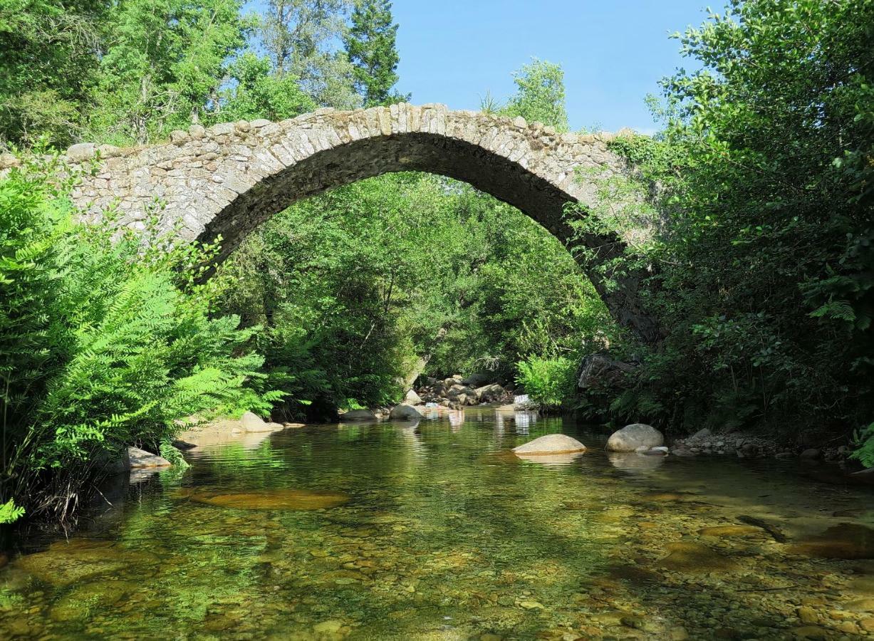 Locsera Porticcio  Luaran gambar